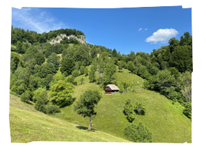 img_240X260