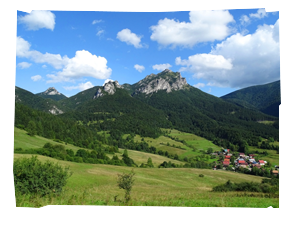 img_240X260