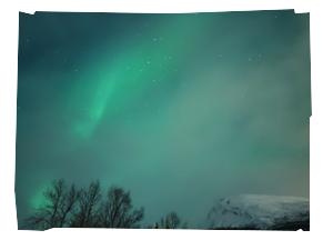 img_240X260