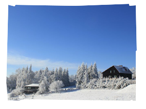 img_240X260