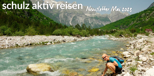 Newsletter