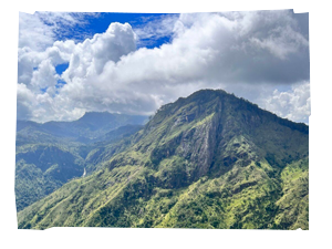 img_240X260
