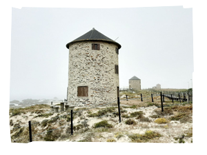img_240X260
