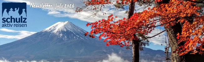 Newsletter